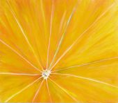Orangeninneres, Oel auf Leinwand,115 x 95 cm, 2013.jpg